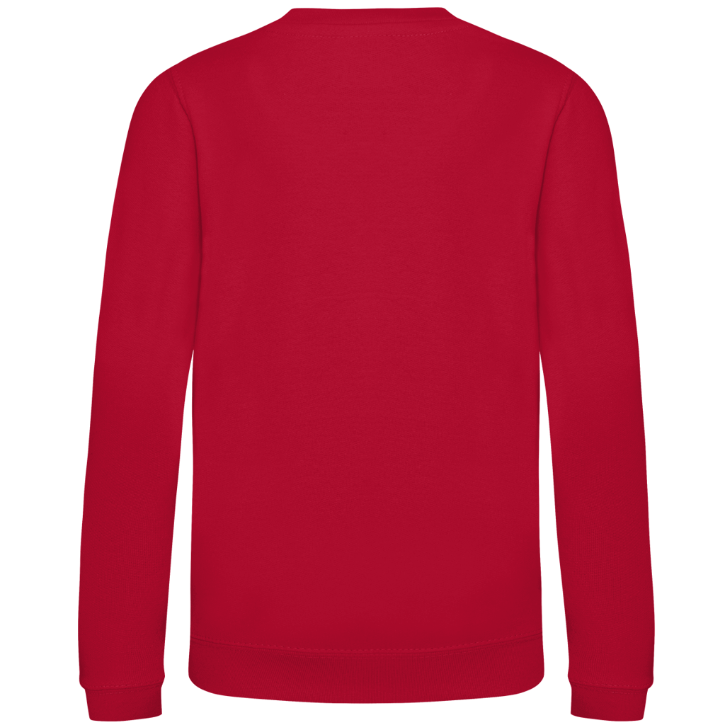 Sweatshirt" Hobbyhorsing" für Mädchen